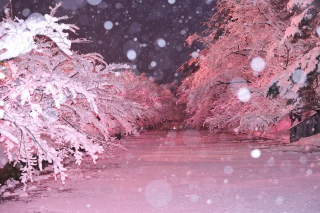 司法書士倉橋孝行事務所のご挨拶